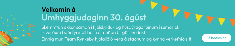 Auglýsing forsíða mynd efst